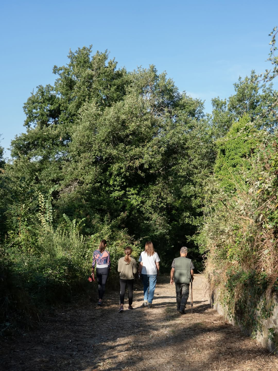 Walking in nature
